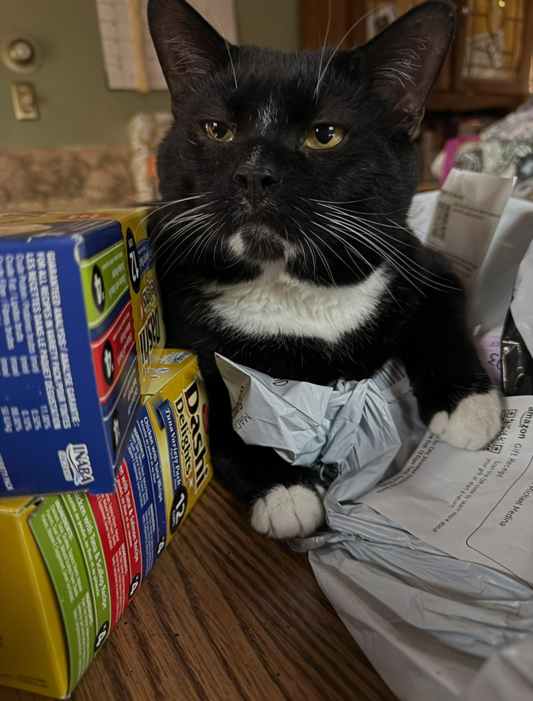 Foster