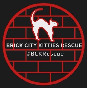 Brick City Kitties Rescue logo